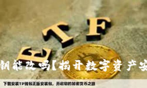 TP钱包私钥能改吗?揭开数字资产安全的真相