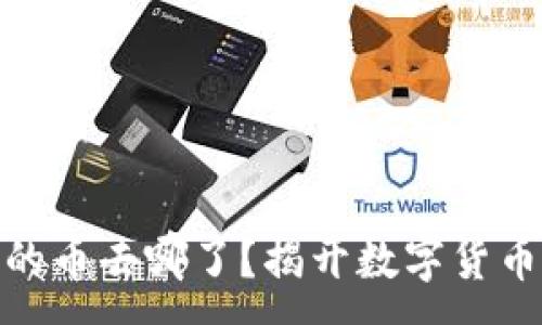 :
TP钱包中的币去哪了?揭开数字货币消失之谜