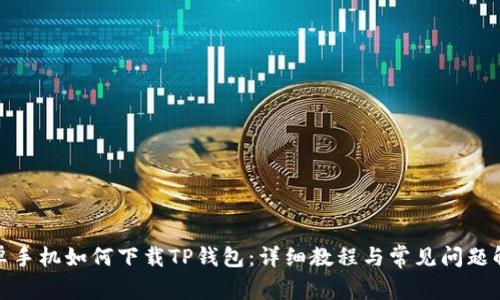 安卓手机如何下载TP钱包:详细教程与常见问题解答