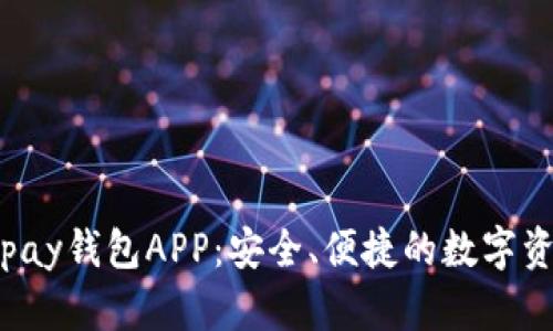 全面解析Topay钱包APP:安全、便捷的数字资产管理工具