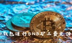 如何使用TP钱包进行BNB矿工