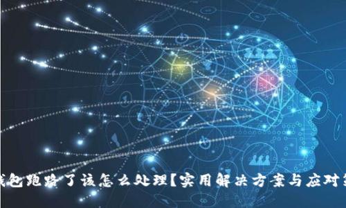 TP钱包跑路了该怎么处理?实用解决方案与应对策略