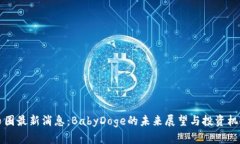 币圈最新消息：BabyDoge的未