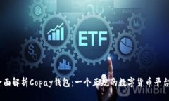 : 全面解析Copay钱包：一个