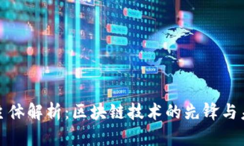 TP钱包公司主体解析：区块链技术的先锋与未来发展趋势