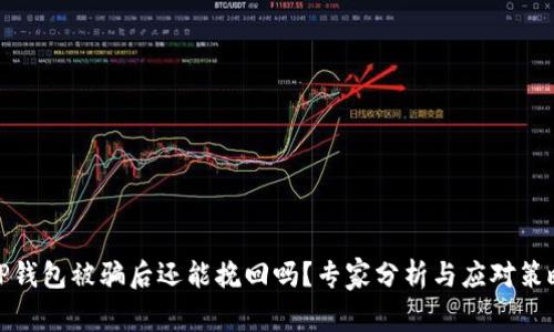 TP钱包被骗后还能挽回吗？专家分析与应对策略