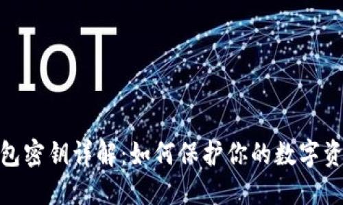 加密钱包密钥详解:如何保护你的数字资产安全