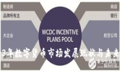 2023年数字货币市场发展现