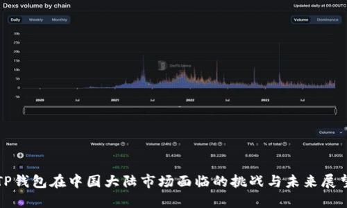 TP钱包在中国大陆市场面临的挑战与未来展望