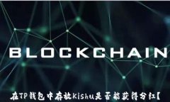 在TP钱包中存放Kishu是否能