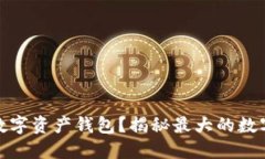 如何选择最适合你的数字
