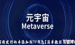如何将发行的币添加到T