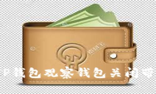 如何应对TP钱包观察钱包关闭带来的困扰？