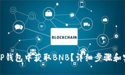 如何在TP钱包中获取BNB?详细步骤和实用技巧