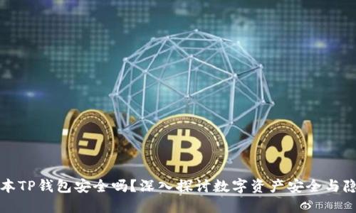 可用版本TP钱包安全吗？深入探讨数字资产安全与隐私保护