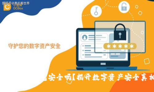 虚拟币上钱包安全吗？揭开数字资产安全真相