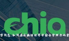 数字钱包：如何在区块链