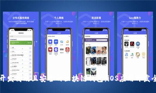 如何开发高效且安全的区块链钱包：iOS应用开发全指南