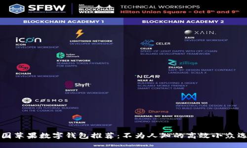 美国苹果数字钱包推荐:不为人知的高效小众选择