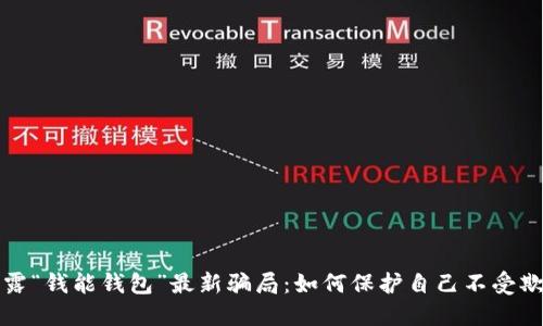 揭露“钱能钱包”最新骗局:如何保护自己不受欺诈