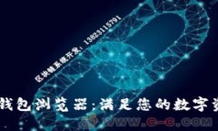 如何使用IM钱包浏览器：满