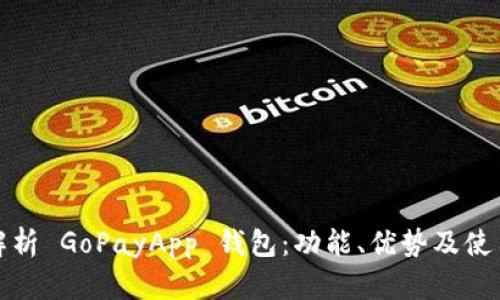 全面解析 GoPayApp 钱包:功能、优势及使用技巧