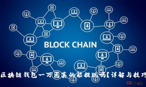 区块链钱包一万元真的能提现吗？详解与技巧