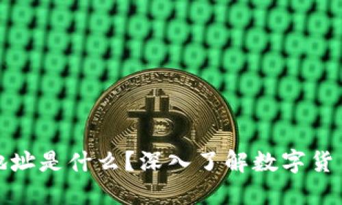 区块链钱包地址是什么?深入了解数字货币的基本概念