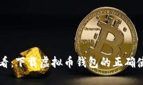 新手必看：下载虚拟币钱包的正确使用方法