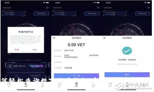 如何轻松查询数字货币钱包:完整指南与最佳实践