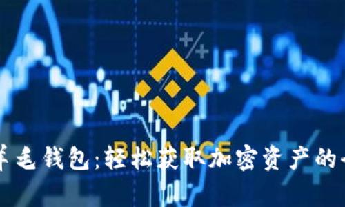 区块链羊毛钱包:轻松获取加密资产的全新利器
