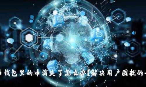 数字币钱包里的币消失了怎么办?解决用户困扰的全指南