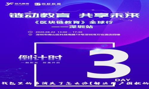 数字币钱包里的币消失了怎么办?解决用户困扰的全指南