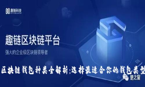 区块链钱包种类全解析:选择最适合你的钱包类型