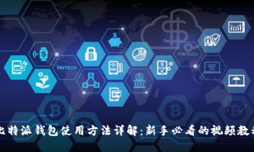 比特派钱包使用方法详解:新手必看的视频教程