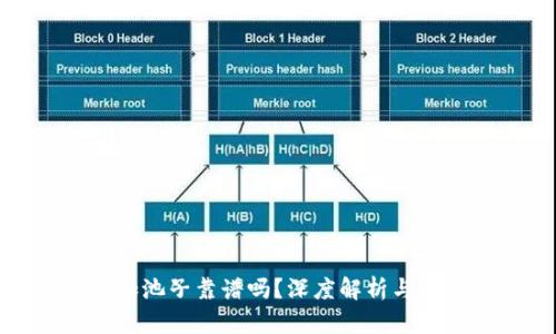 TP钱包加池子靠谱吗?深度解析与投资建议