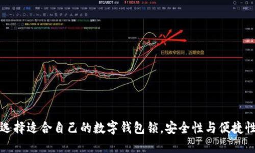 如何选择适合自己的数字钱包锁，安全性与便捷性并重