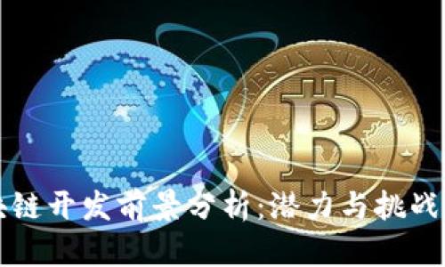 区块链开发前景分析：潜力与挑战并存
