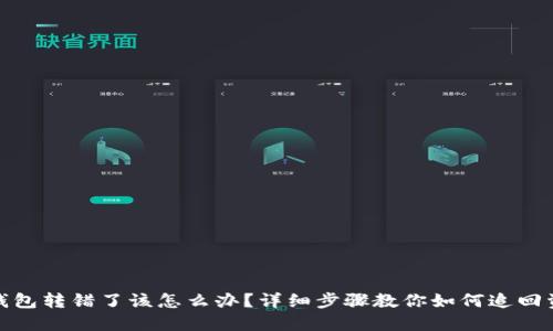 TP钱包转错了该怎么办？详细步骤教你如何追回资金