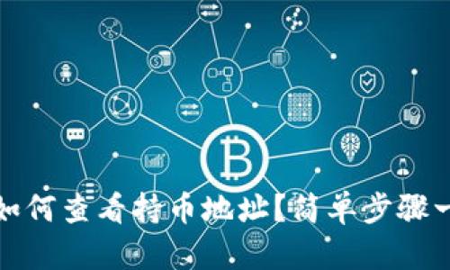 TP钱包如何查看持币地址？简单步骤一看便知