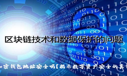 加密钱包地址安全吗？揭示数字资产安全的真相