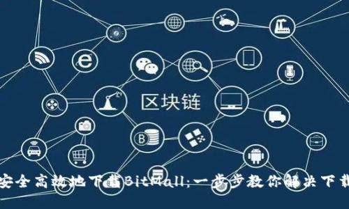 如何安全高效地下载BitMall：一步步教你解决下载难题
