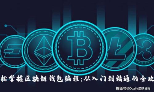 轻松掌握区块链钱包编程：从入门到精通的全攻略