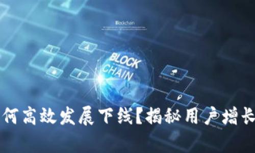 虚拟币钱包如何高效发展下线？揭秘用户增长与留存的秘密