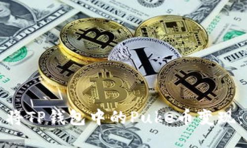 如何快速将TP钱包中的Puke币变现:全面教程