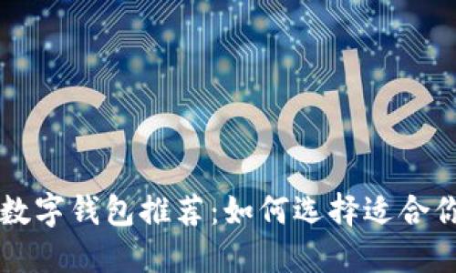 最受欢迎的中国数字钱包推荐：如何选择适合你的电子支付平台