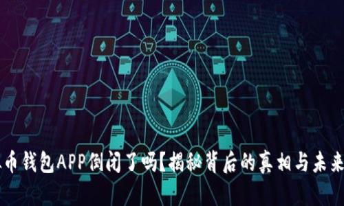 虚拟币钱包APP倒闭了吗?揭秘背后的真相与未来展望