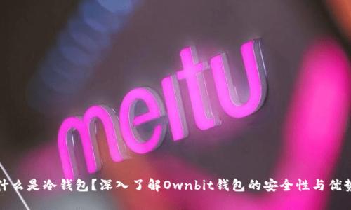 什么是冷钱包？深入了解Ownbit钱包的安全性与优势