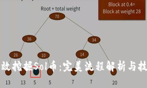 如何高效挖掘Sol币:完美流程解析与技巧分享