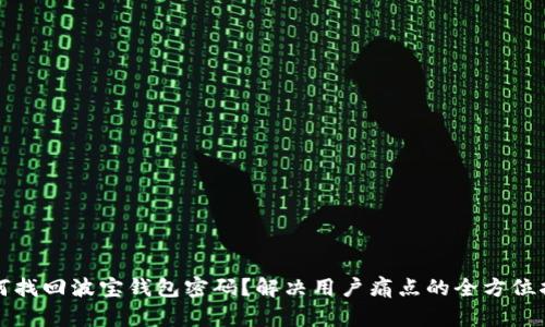 如何找回波宝钱包密码?解决用户痛点的全方位指南